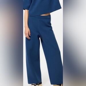 Uniqlo Women's Blue Wide-Leg Pants